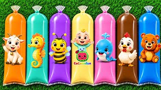 MENEMUKAN : Hewan Kuda laut , Panda, Dinosaurus, Zebra, Harimau, Baby JJ, Cocomelon.