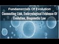 Connecting Links in Evolutionary Biology