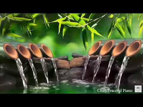 Relaxing Piano Music for Sleep 🌿 Meditation Music, Spa, Healing Sleep Music, Calming Music, Study