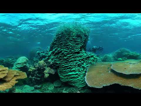 Palmyra Atoll 360°