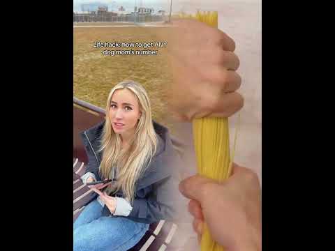 Thank me later #dogs #dogtok #funnydog #dogsoftiktok #foryou #Dogs  #ThankMeLater #pov #fyp