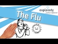 Understanding Influenza and Immunity