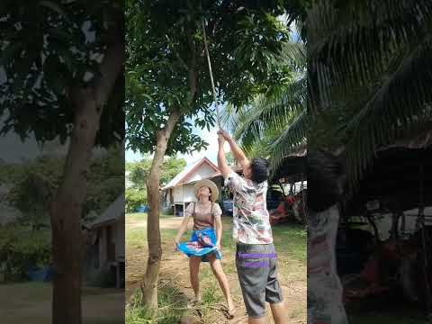 ว่าสิเอาคักๆ บ่แม่นจ้อย #funny #แม่อิน้อยมักม่วน