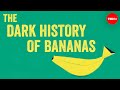 The History and Impact of the Banana Trade
