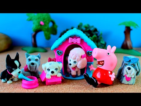 Peppa Pig George e seus Cachorrinhos | Peppa Pig Português Brasil Episódios Completos