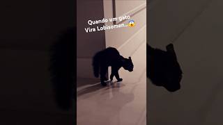 😱O que o gato VIU para virar Lobisomem ☠️