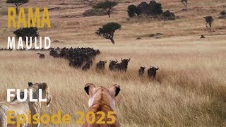 WILD MIGRATION - PART 2 | The Power and Challenges of the Wild Migration | #animaldocumentary