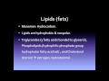 Biological Molecules and Structures
