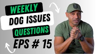 Bulletproofk9s dog trainer obedience protection tactical training tips and tricks weekly QnA EP15
