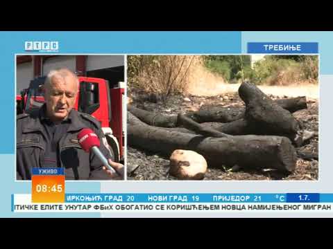 Neđo Ćuk o požarima na jugu Srpske /// 01.07.2025.