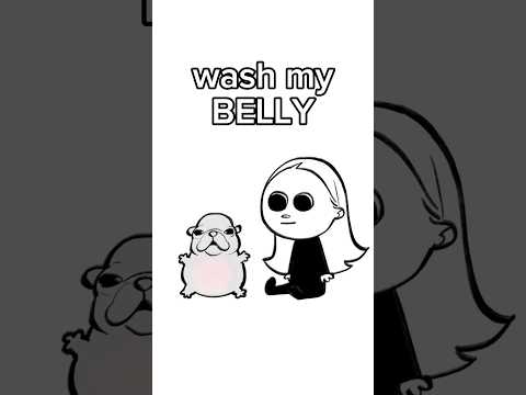 wash my belly / pibble