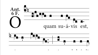 O quam suavis est