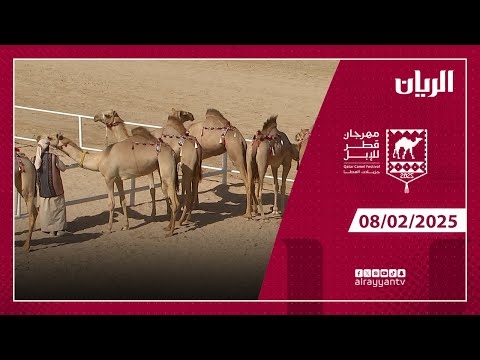 مهرجان قطر للإبل - جزيلات العطا - 08-02-2025