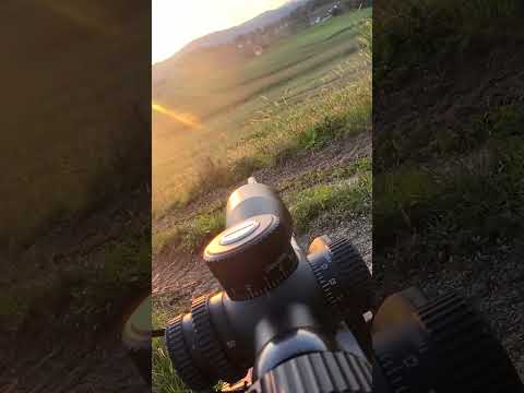 I Hunted this Deer at Sunset for Dinner