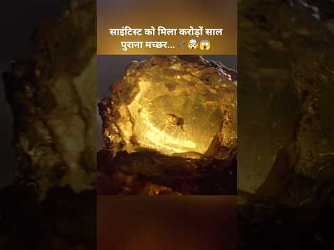 साइंटिस्ट को मिला करोड़ों साल पुराना मच्छर...🦟😱🤯#shorts