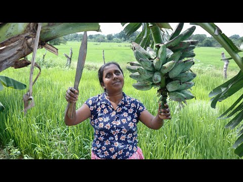 Ash plantain Moju and Chips. Try making chips like this for crispy taste.  village kitchen recipe