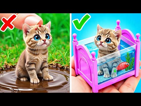 Secret Pet Tips You NEED To Know 🤫 Rich VS Broke Kitten Rescue Gadgets