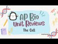 Cellular Organelles and Functions