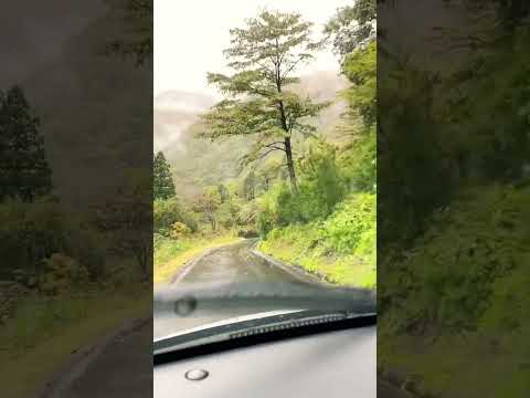 Naukri Gaye bhaad me hum chale pahad.. #travel #mountains #funny