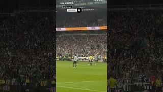 #werderbremen vs. #augsburg - Niclas Füllkrug erzielt das überragende 2:2💚🤍#soccer #football #top