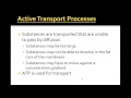 Cell Transport Mechanisms and Processes