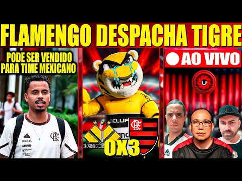 FLAMENGO DESPACHA TIGRE, FLAMENGO 3X0 CRICIUMA, ALLAN PODE SER VENDIDO PARA TIME MEXICANO