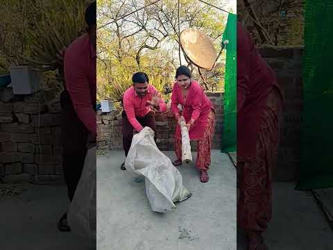funny comedy #comedy