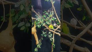 Most Beautiful Feeling of True Love #shorts #viral