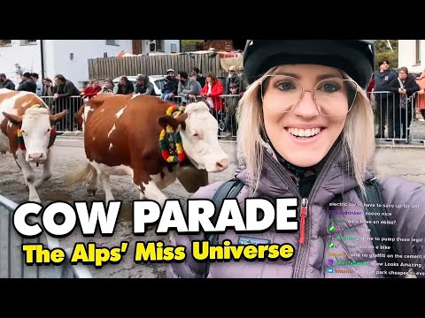 Cycling To a Cow Parade in Alps