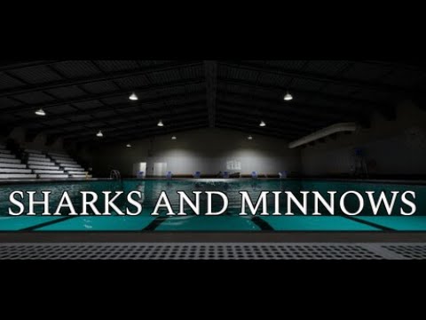Sharks and Minnows LIVE