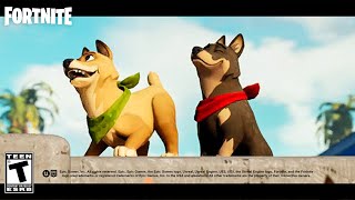 Fortnite Pets Update (Official Reveal)