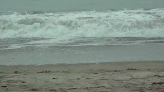 A Day At The Beach