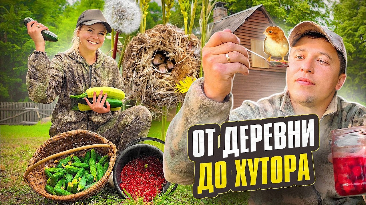 Живём в Деревне и Рассказываем о Своей Жизни! Какой Огурец Вкуснее и Что Закатать Цыплята и Мыши!