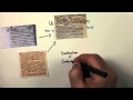 Exploring Foundational Documents of American Government