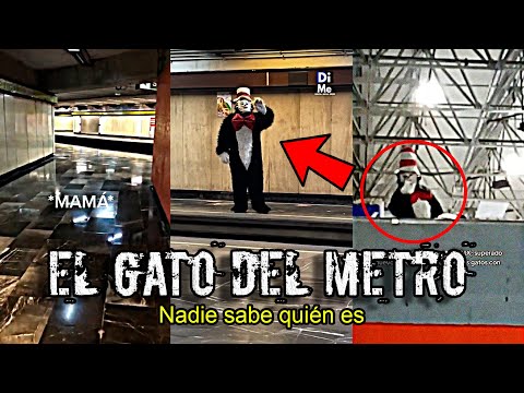 EL Perturbador GATO del SOMBRERO en el METRO de la CDMX