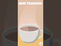Exploring Heat Transfer Mechanisms: Conduction, Convection, and Radiation