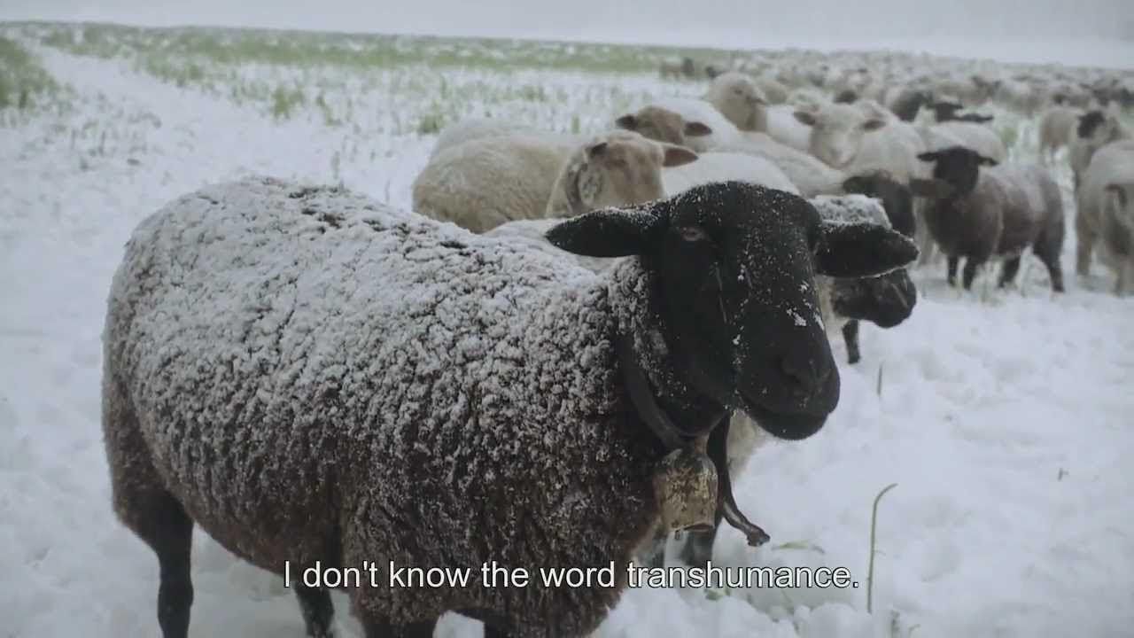 Winter Nomads Trailer thumbnail