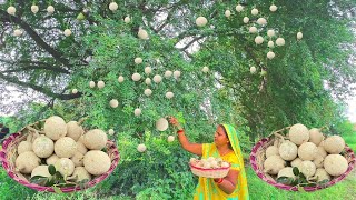 Wood Apple | कैत (कैथा)की मुरब्बा, ऐसे बनाएंगे तो सब चटखारे लेकर खाएंगे | Wood Apple Murbba Recipe