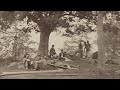 Witness Trees and Historical Events