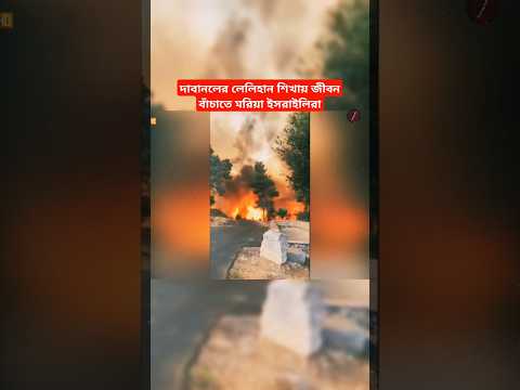 Israel Devastated by Raging Wildfires Residents Desperately Fleeing to Survive!#breakingnews #news