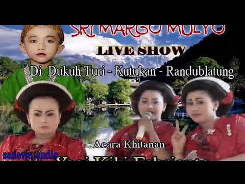 tayub sri margo mulyo live turi