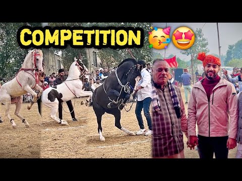 HORSE TOURNAMENT 😍Socha Nahi Tha Itne Sundar Ghode Yaha Mil Jayenge ❤️Ek Ghodi Pasand Aagyi 🔥