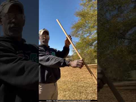 Simple Trick to Measure Tree Height! ๐ฒโจ#shortvideo #shortsfeed