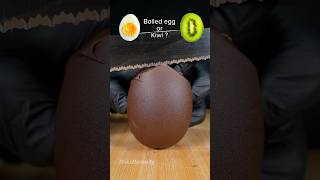 What’s inside? Egg 🥚 or kiwi? 🥝