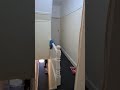 5 bedroom student house in Crookesmoor, Sheffield