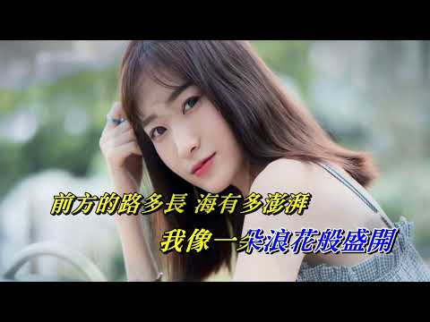 人生沒有重來 〈男調 MMO D major版〉