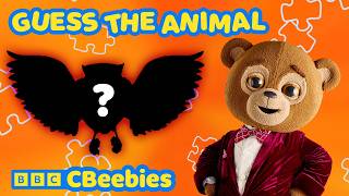 Camping Time! Solve the Sound Mystery 🕵️‍♀️ | Knee High Spies for Kids | CBeebies