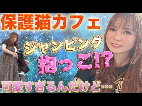 【尊すぎ】保護猫カフェで出会った猫の思わぬ特技に大興奮！