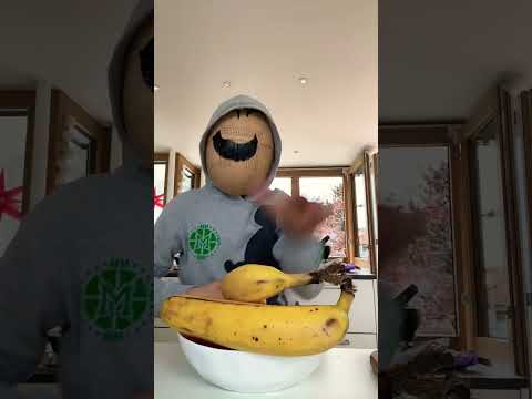 ￼ Trying to eat healthy #comedy
