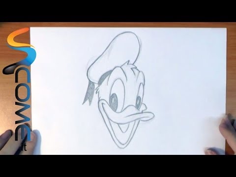 Come Disegnare I Paperi Disney Non Solo Cultura